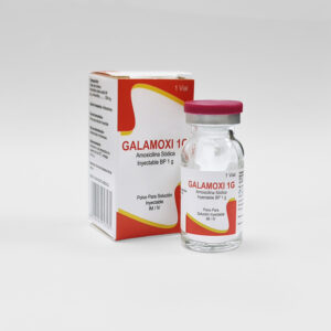 GALAMOXI 1G